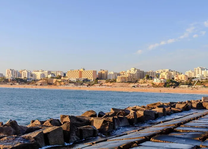 B43 - Spotless Seaview